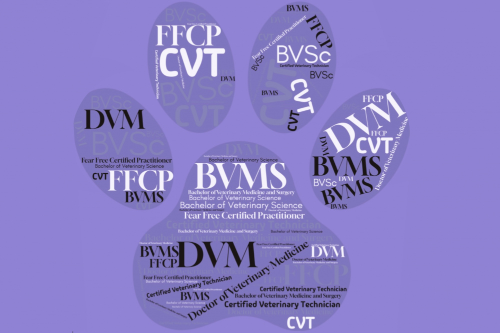 Purple Pawprint with Vet Med Titles  & initials- Pawsome Vet Care